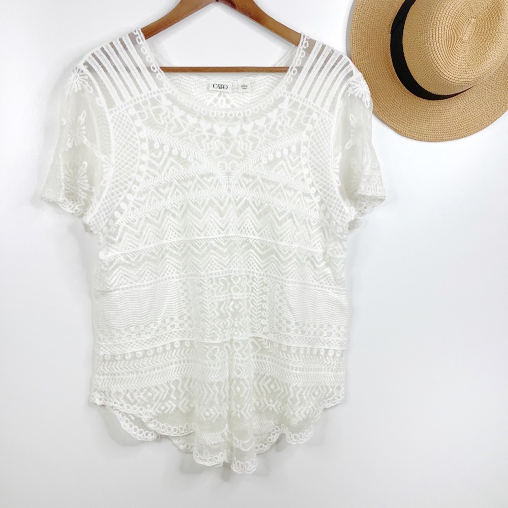 Cato Sheer Embroidered Top